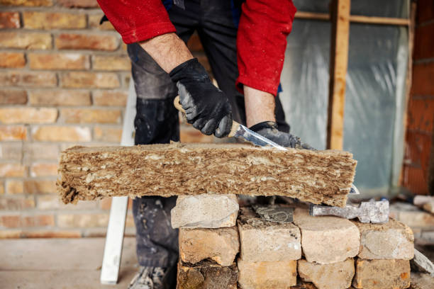 Best Insulation Contractors for Homes  in Justice, IL