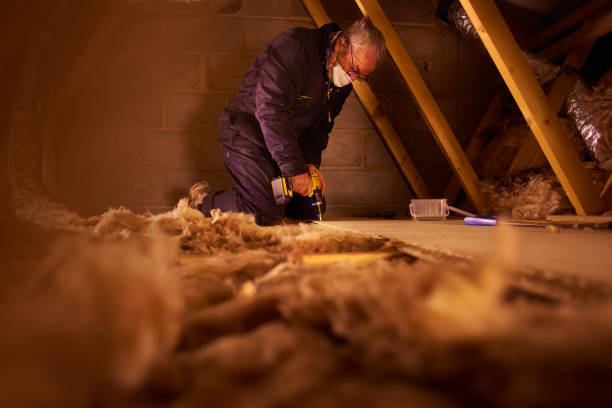 Best Best Insulation Companies  in Justice, IL